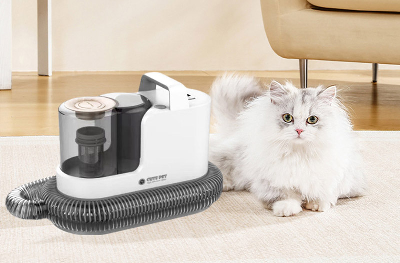 How to use and maintain cleaning equipment for low temperatures in winter?